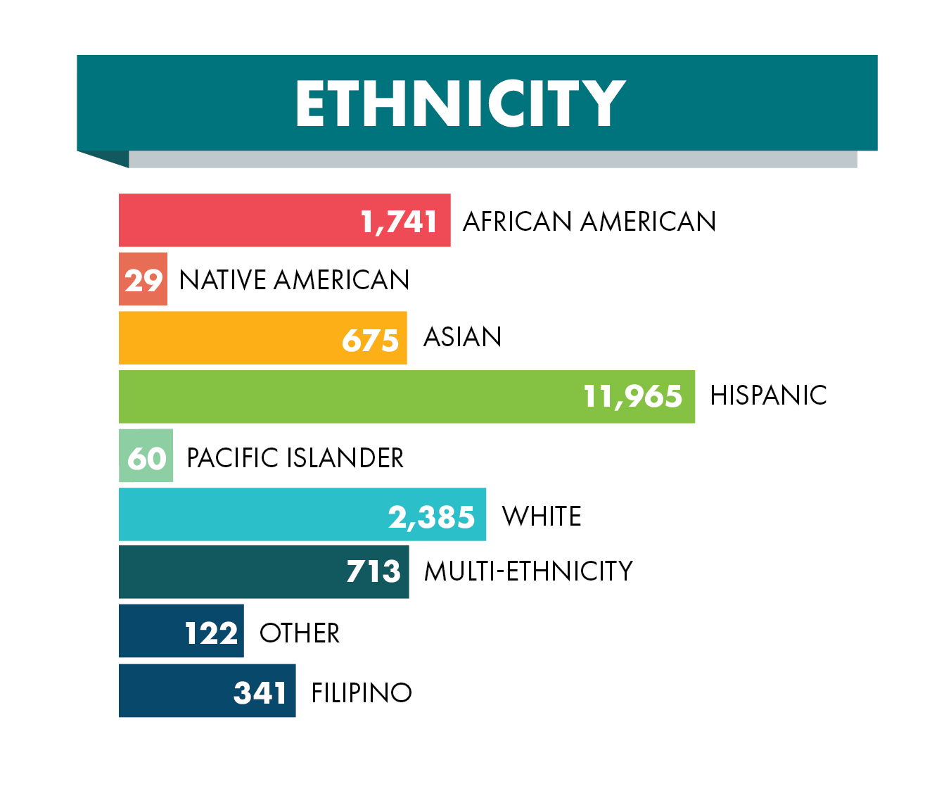 Ethnicity