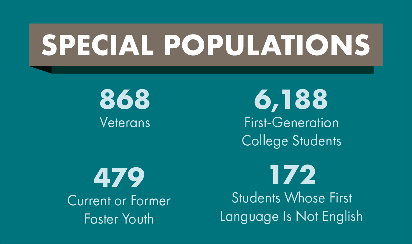 Special Populations