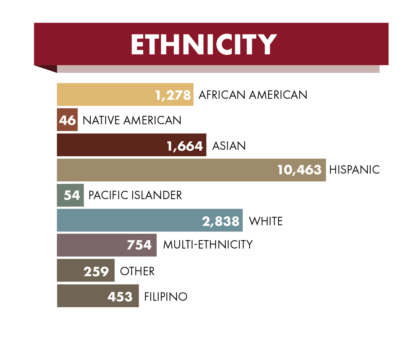 Ethnicity