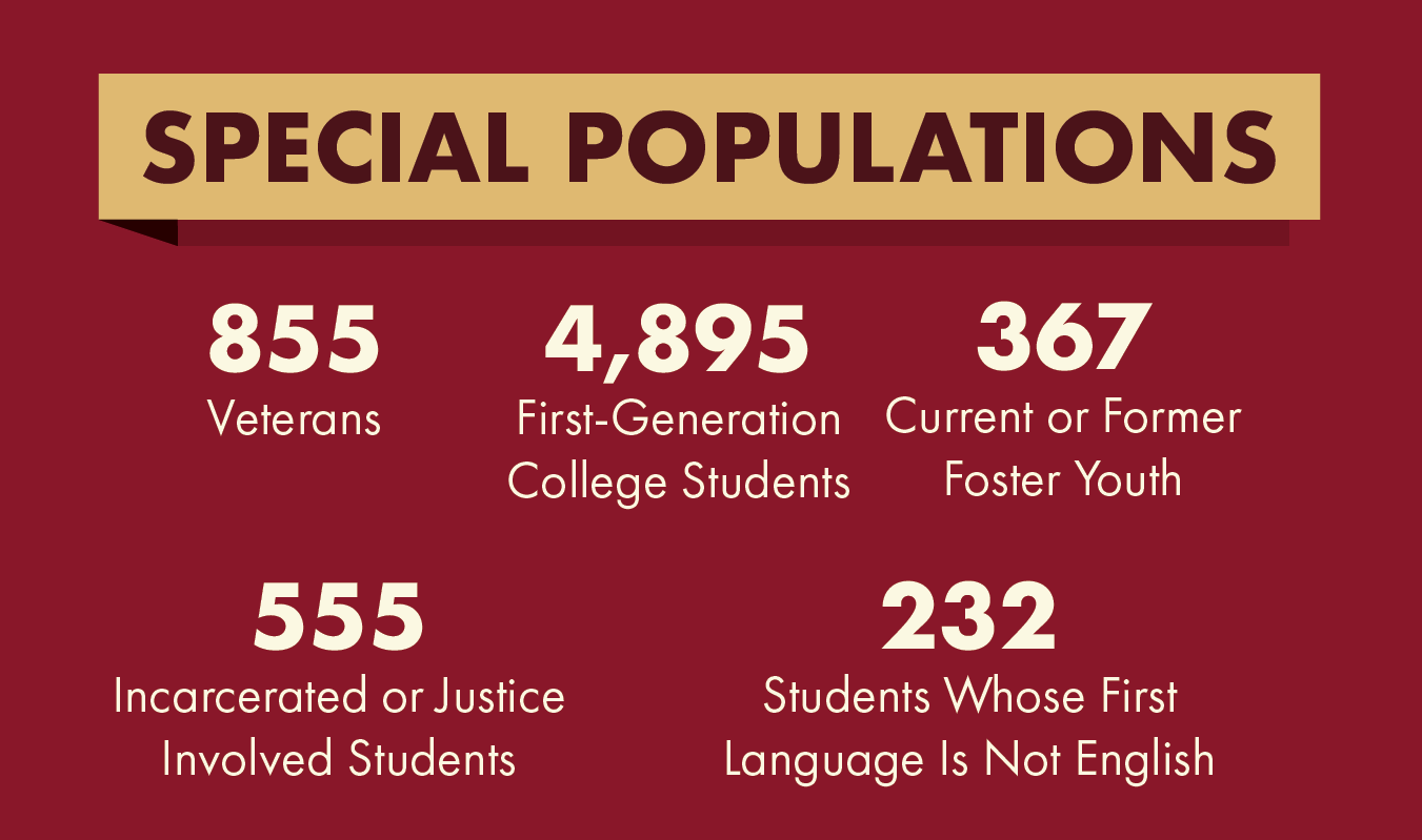 Special Populations