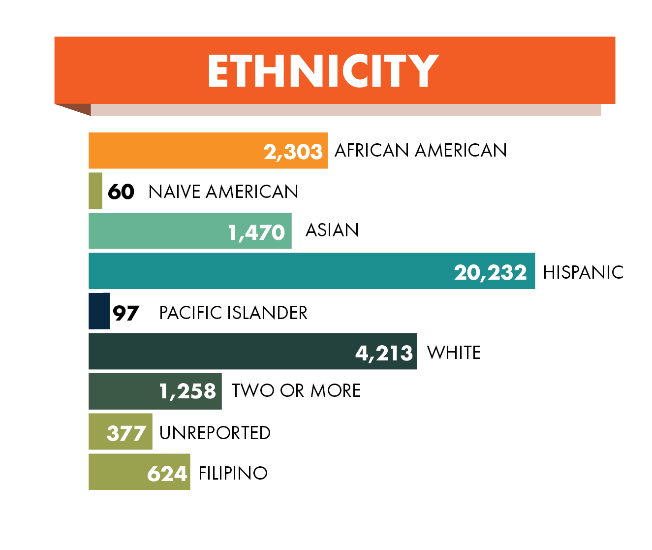 Ethnicity