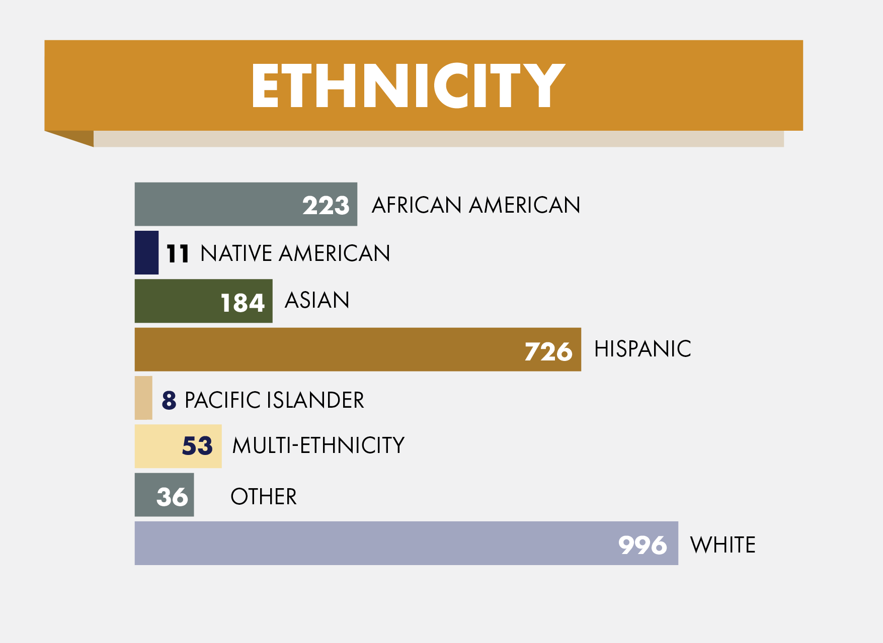 Ethnicity