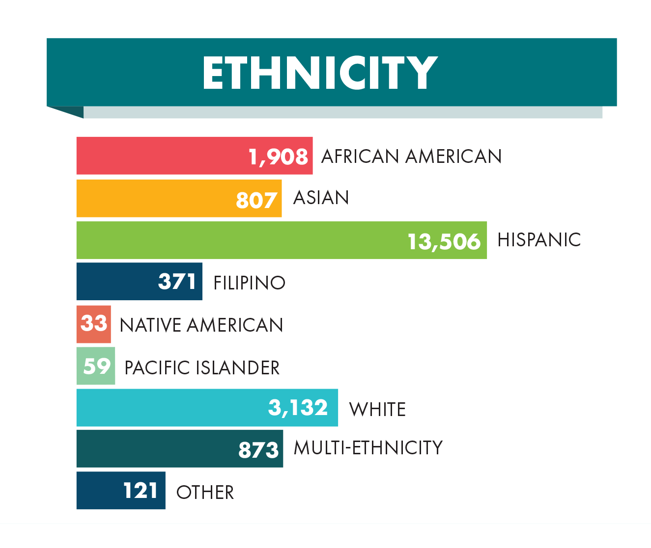 Ethnicity