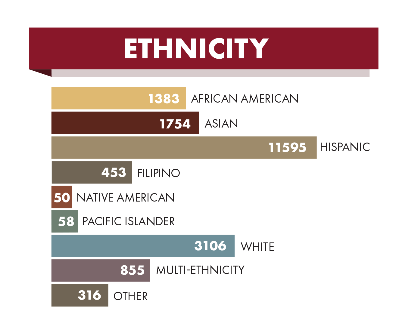 Ethnicity