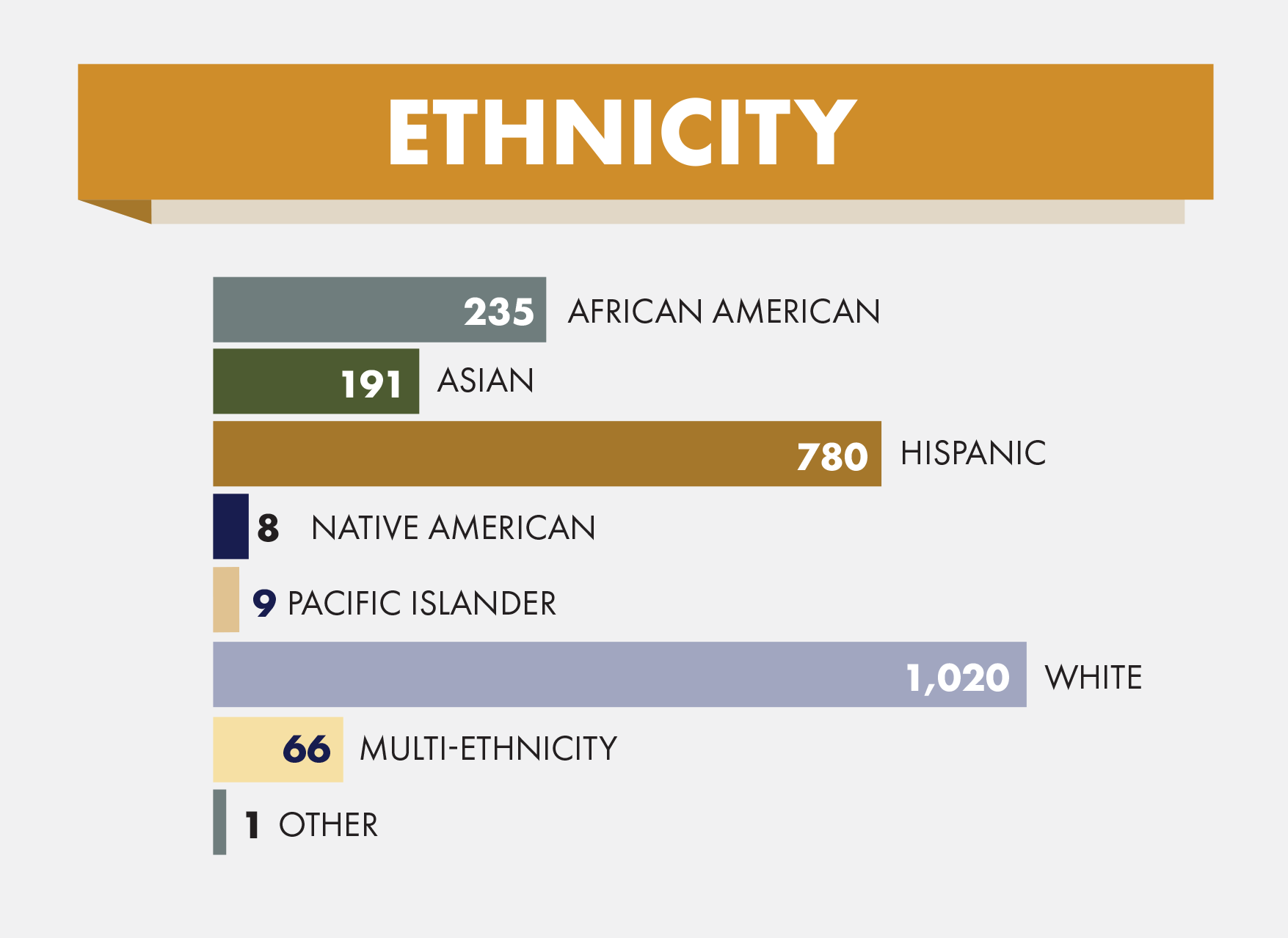 Ethnicity