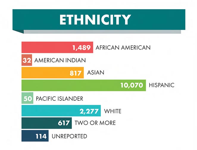 Ethnicity