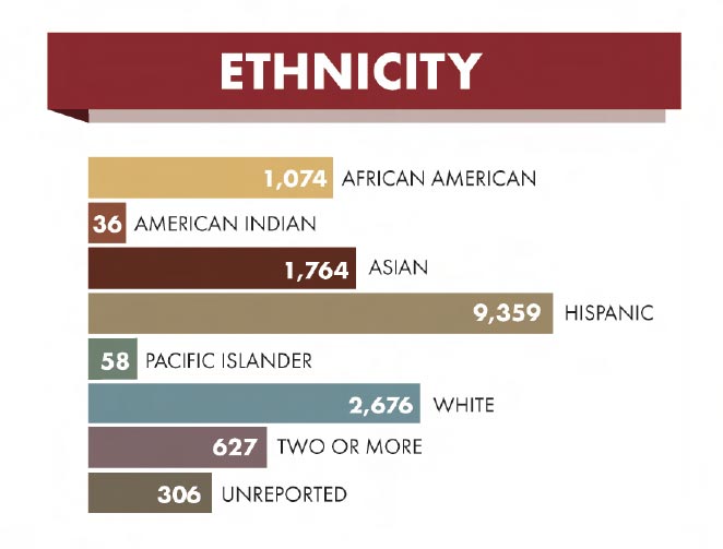 Ethnicity