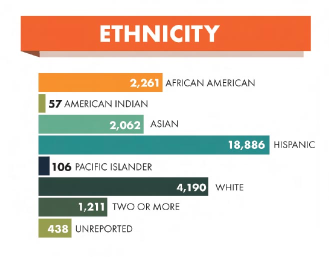 Ethnicity