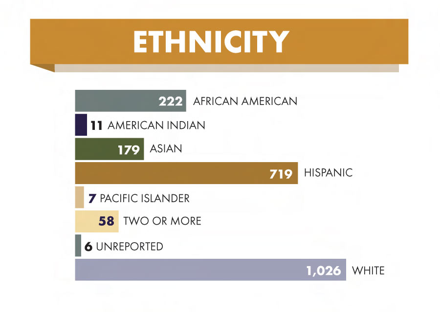 Ethnicity